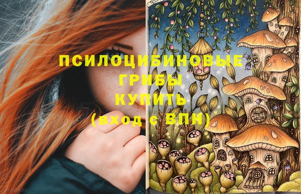 твердый Касимов