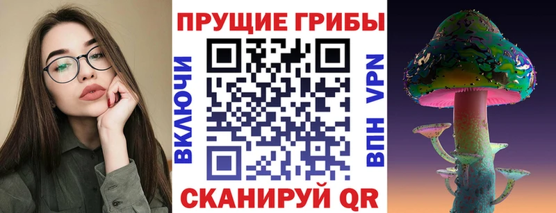 Купить где  Опочка  Галлюциногенные грибы Cubensis 